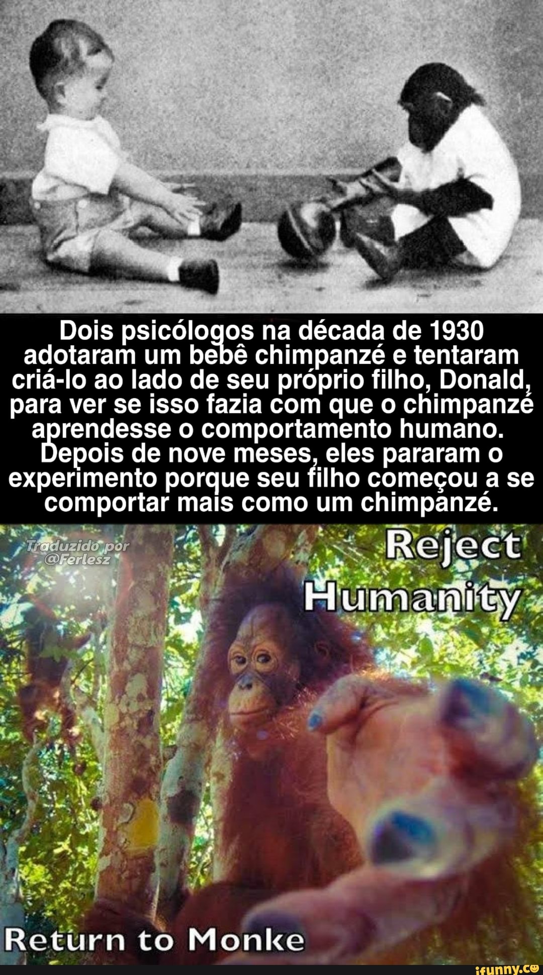 Dois psicólogos na década de 1930 adotaram um bebê chimpanzé e tentaram criá-lo ao lado de seu próprio filho, Donald, para ver se isso fazia com que o chimpanzé aprendesse o comportamento humano.
epois de nove meses, eles pararam o experimento porque seu filho começou a se comportar mais como um chimpanzé.
por
Return to Monko