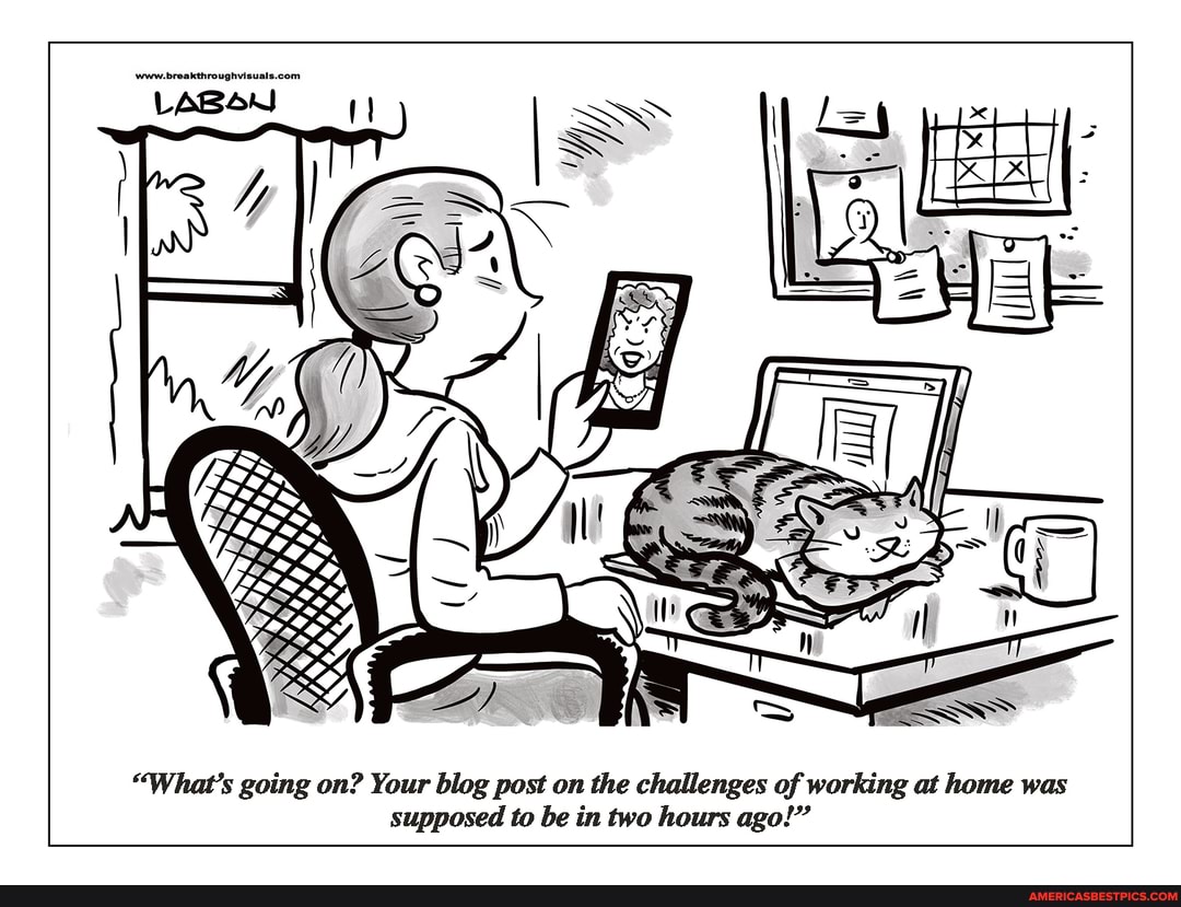 "What's going on? Your blog post on the challenges of working at home was supposed to be in two hours ago!"