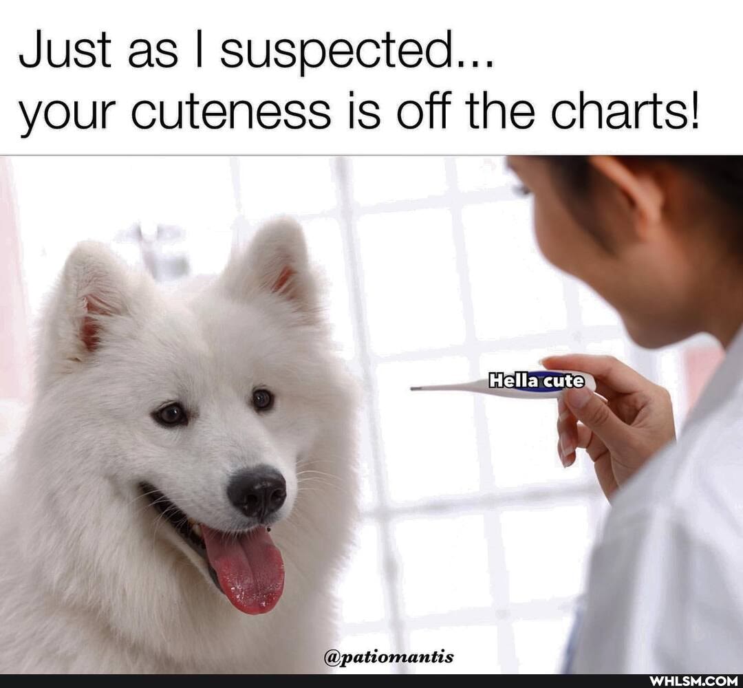Just as I suspected...
your cuteness is off the charts!