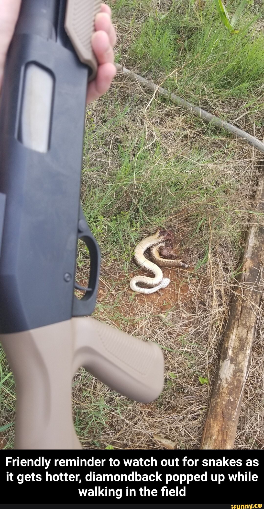 Friendly reminder to watch out for sna
it gets hotter, diamondback popped up while
walking in the field - Friendly reminder to watch out for snakes as it gets hotter, diamondback popped up while walking in the field