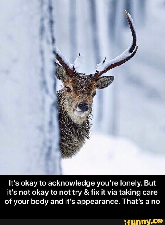 It's okay to acknowledge you're lonely. But
it's not okay to not try fix it via taking care
of your body and it's appearance. That's ano - It’s okay to acknowledge you’re lonely. But it’s not okay to not try & fix it via taking care of your body and it’s appearance. That’s a no