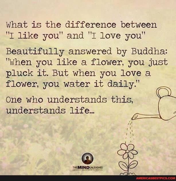 What is the difference between
"I like you" and "I love you"
Beautifully answered by Buddha:
"when you like a flower, you just pluck it. But when you love a flower, you water it daily."
One who understands this, understands life.