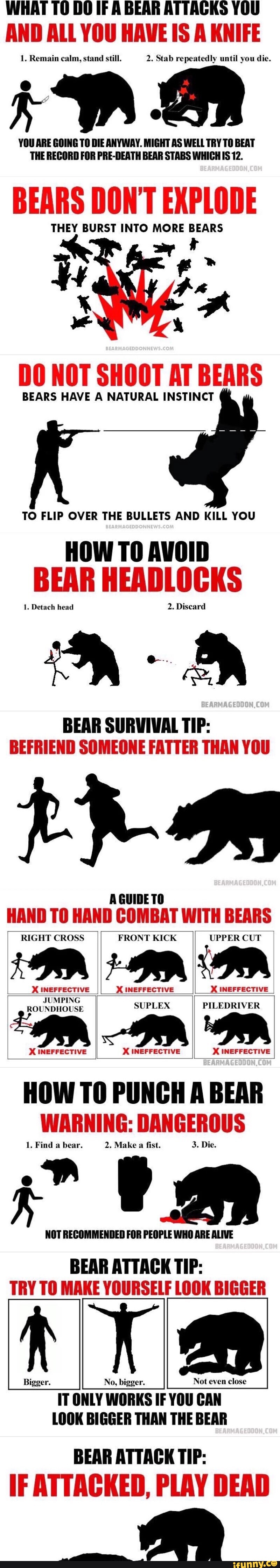 what-to-do-if-a-bear-attacks-you-and-all-you-have-is-a-knife-1-remain