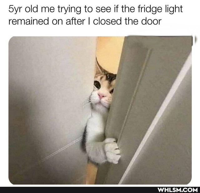 old me trying to see if the fridge light remained on after I closed the door