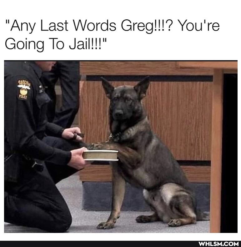 "Any Last Words Greg!!!? You're
Going To Jail!!!"