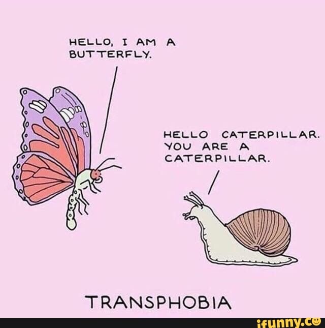 HELLO. I AM A BUTTERFLY. HELLO CATERPILLAR. YOU ARE A TRANSPHOBIA - )