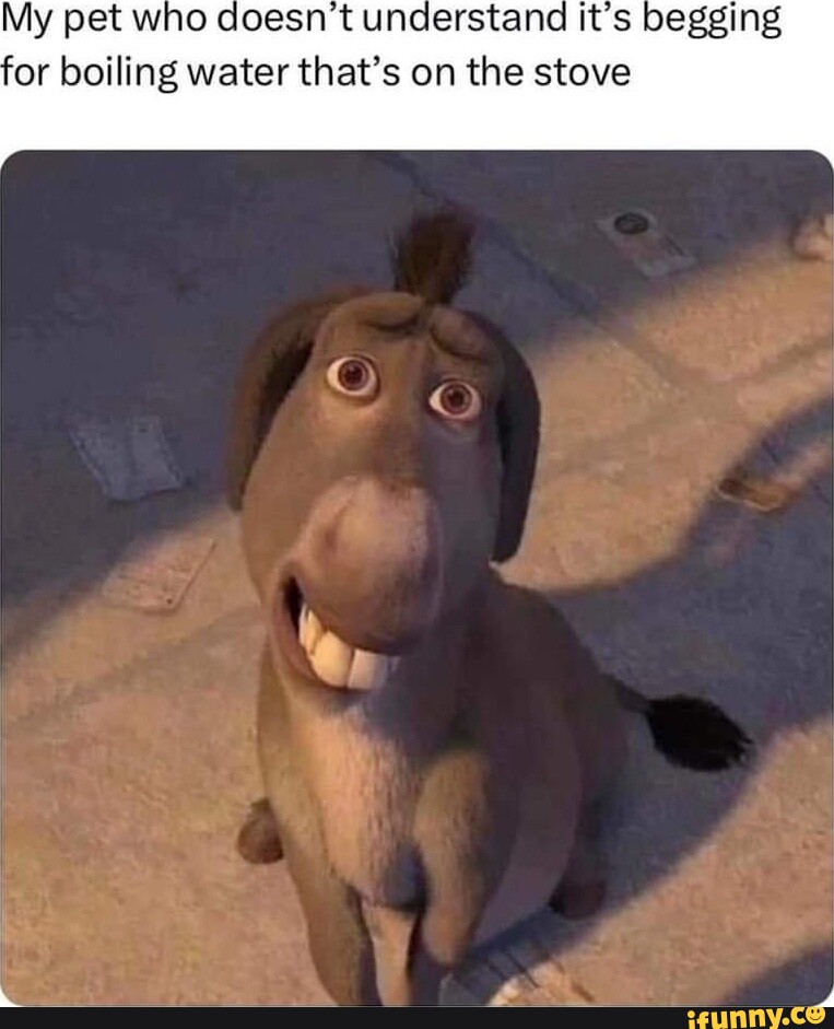 Doesn't understand it's or boiling water that's on the stove iFunny
