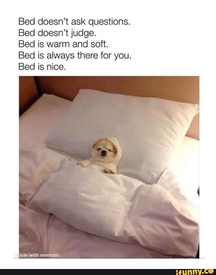 Bed doesn't ask questions. Bed doesn't judge. Bed is warm and soft. Bed ...