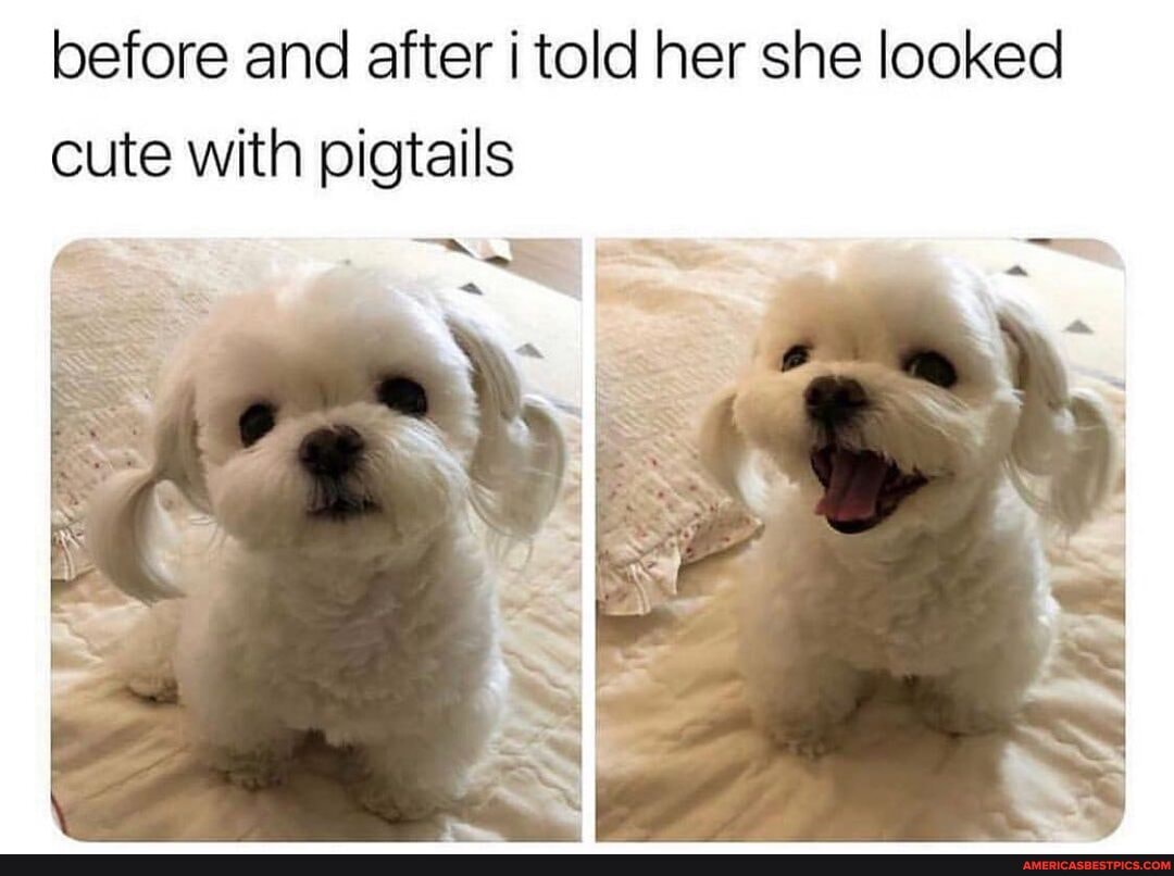 before and after i told her she looked cute with pigtails