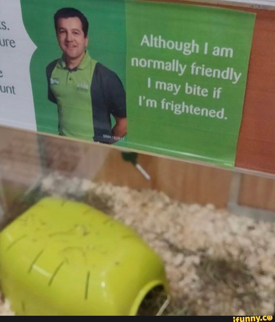 The four horsemen of perfect jobs i GENA BUMGARNER Chicken Nugget