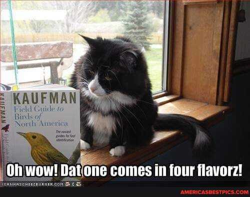 Oh wow! Dat one comes in four flaverz!