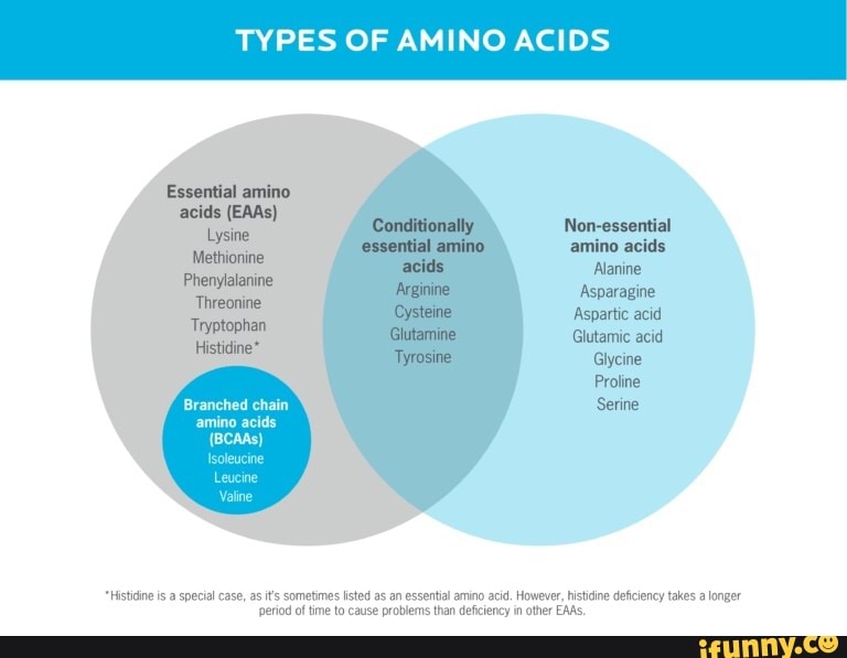 TYPES OF AMINO ACIDS Essential amino acids (EAs) Conditionally