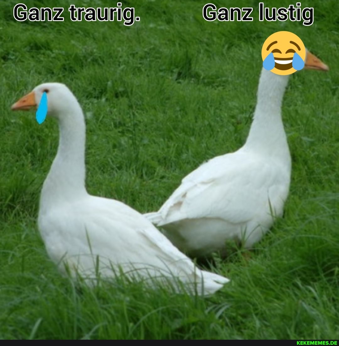 Ganz traurig, Ganz lustig)