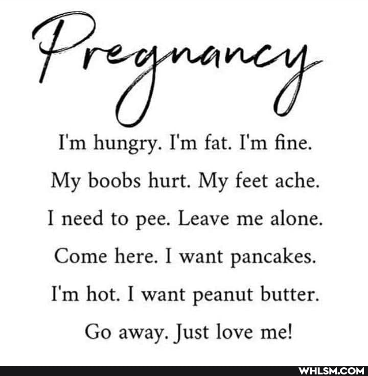 I'm hungry. I'm fat. I'm fine.
My boobs hurt. My feet ache.
I need to pee. Leave me alone.
Come here. I want pancakes.
I'm hot. I want peanut butter.
Go away. Just love me!
