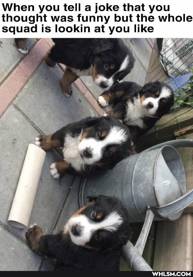 When you tell a joke that you thought was funny but the whole squad is lookin at you like
