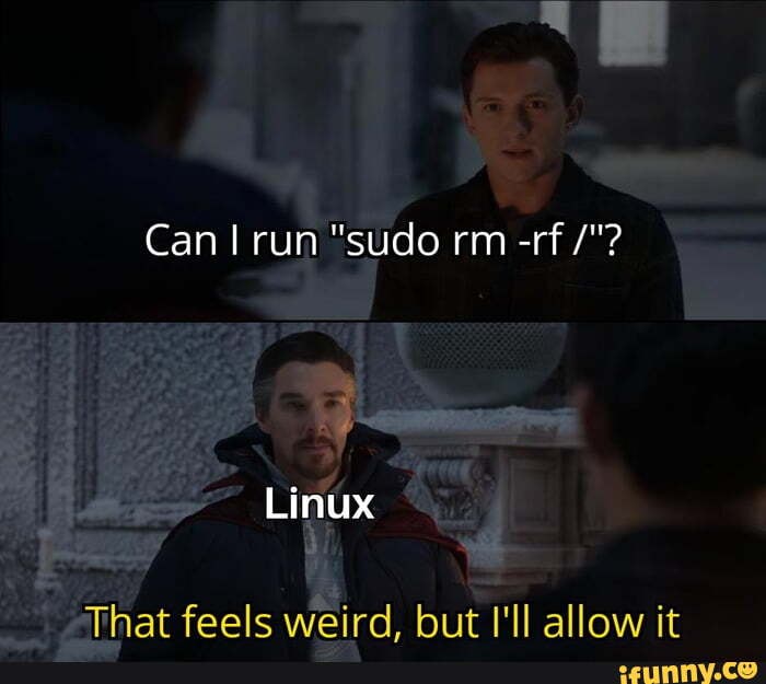 Can I ru@ &ldquo;sudo rm -rf Linux / hat feels weird. but I&rsquo;ll allow it 