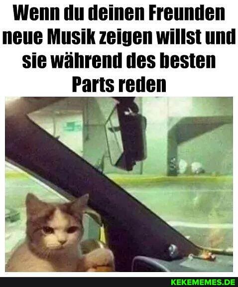 Wenn du deinen Freunden neue Musik zeigen willst und sie während des hesten
Parts reden