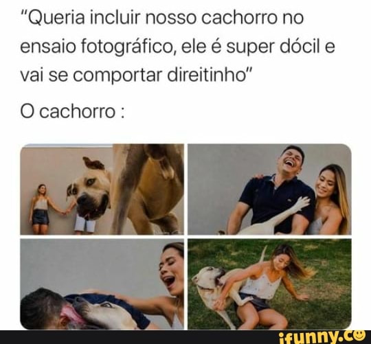 Queria incluir nosso cachorro no ensaio fotográfico, ele é super dócil e vai se comportar direitinho"
O cachorro :