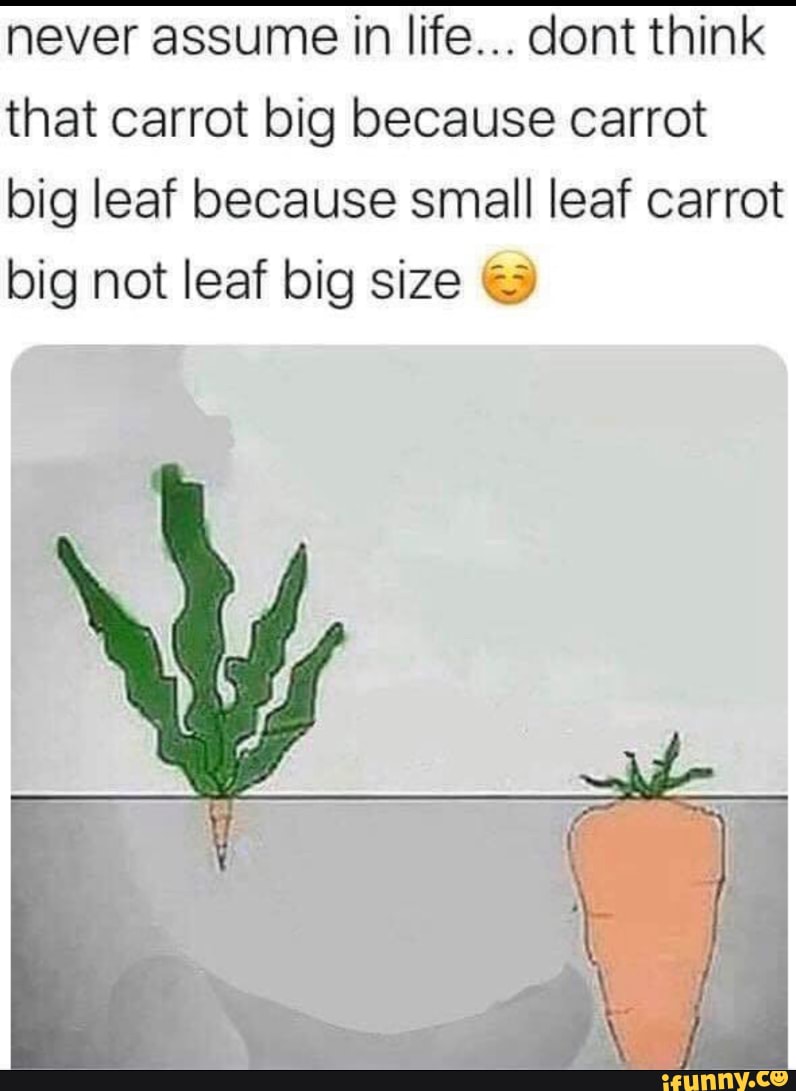 Never assume life... dont that carrot big because carrot big leaf