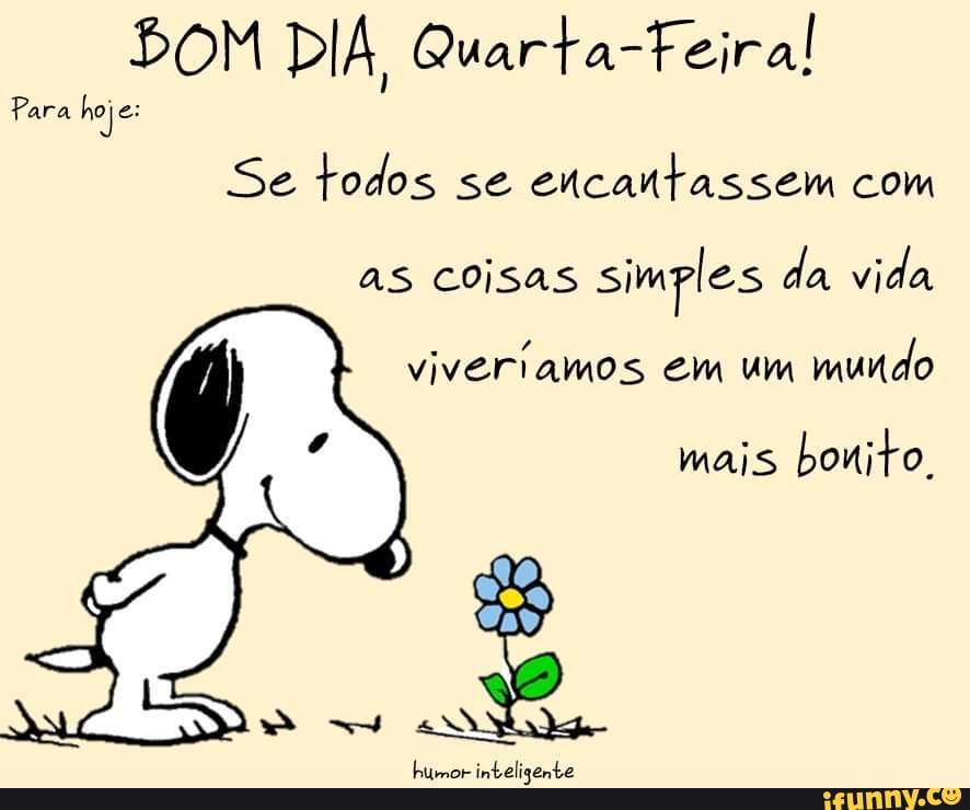 BOM DIA, Quarta-Feira! Para hoje: Se todos se encantassem com as coisas  simples da vida vivertamos em um mundo mais bonito, humor inteligente -  iFunny Brazil