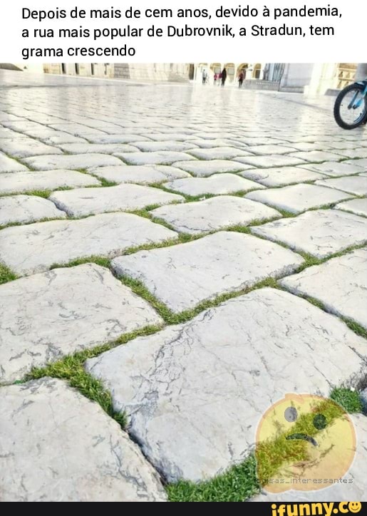 Depois de mais de cem anos, devido à pandemia,
a rua mais popular de Dubrovnik, a Stradun, tem
grama crescendo