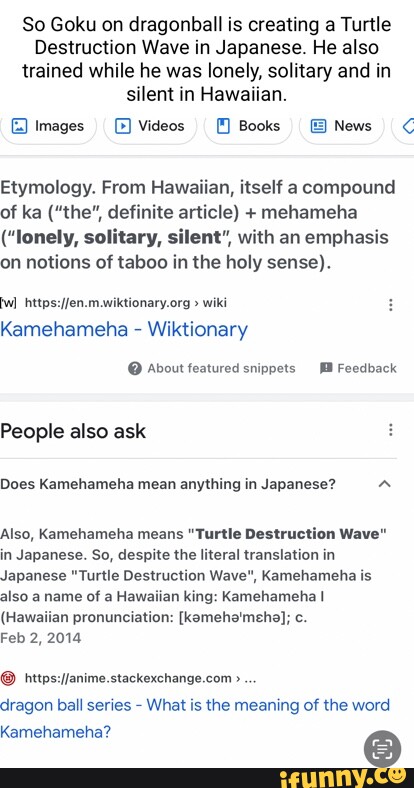 So Goku On Dragonball Is Creating A Turtle Destruction Wave In Japanese 
