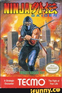 Ninja_gaiden memes. Best Collection of funny Ninja_gaiden pictures on ...