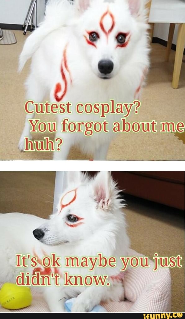 Cutest cosplay?
You forgot about
maybe you know,
