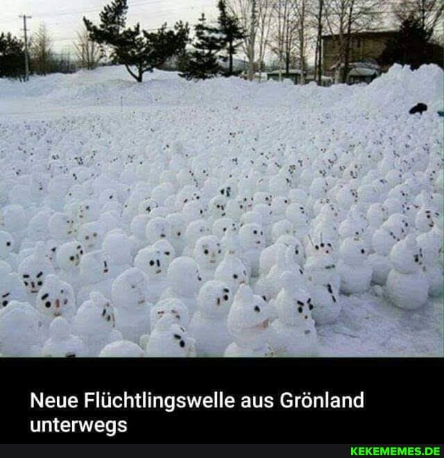 Neue Flüchtlingswelle aus Grönland