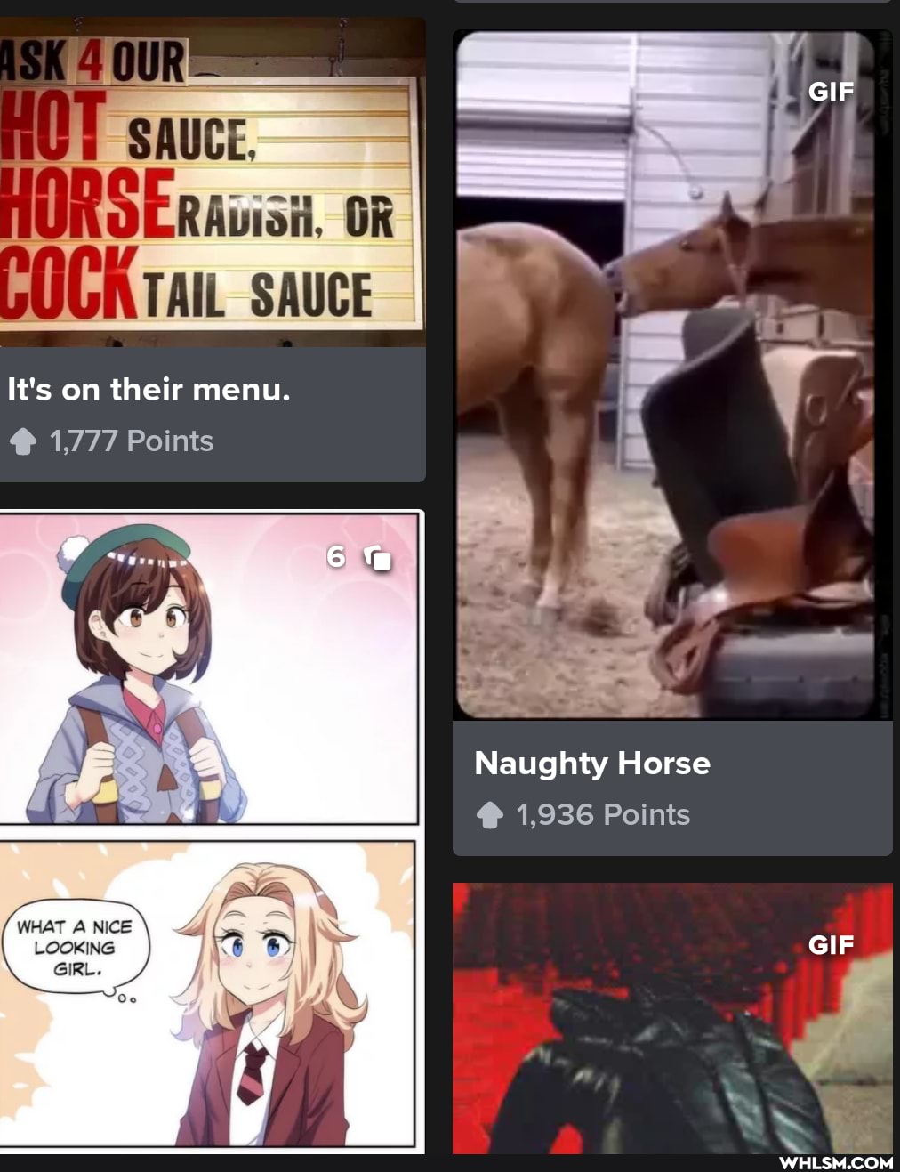 It's on their menu.
@ 1,777 Points
GIF
Naughty Horse
1,936 Points
GIF
WHAT A NICE LOOKING