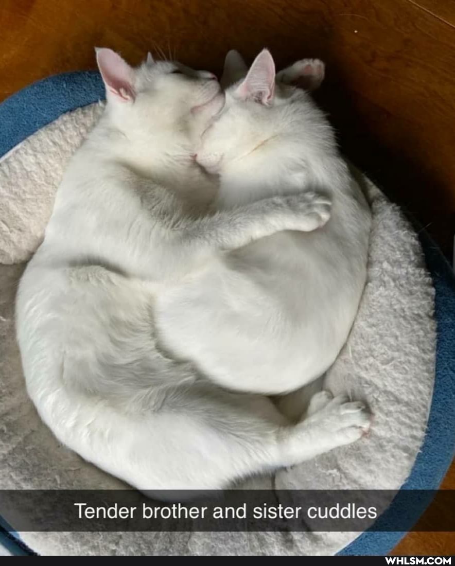 Tender brother and sister cuddles