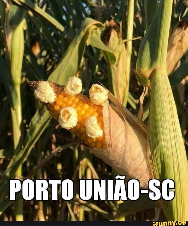 I
ORTO.UNIAO-SC