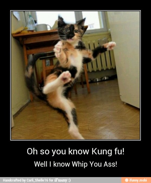 Oh so you know Kung fu!
Well I know Whip You Ass! - Oh so you know Kung fu!
Well I know Whip You Ass!