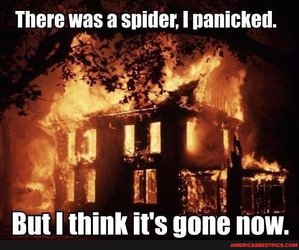 There was a spider, I panicked.
FR
But think it's gone now.