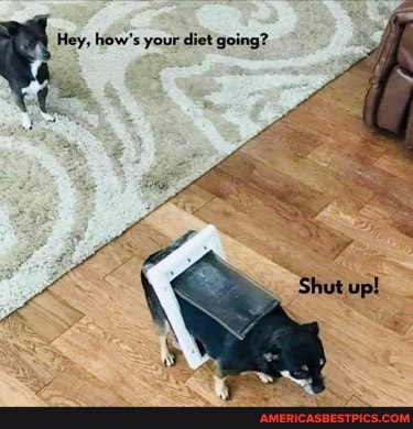 Hey, how's your diet going?
up!