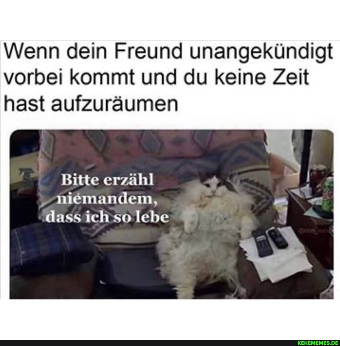 Wenn dein Freund unangekündigt vorbei kommt und du keine Zeit hast aufzuräumen
Bitte erzähl
'aiemandem,
dass ich so lebe