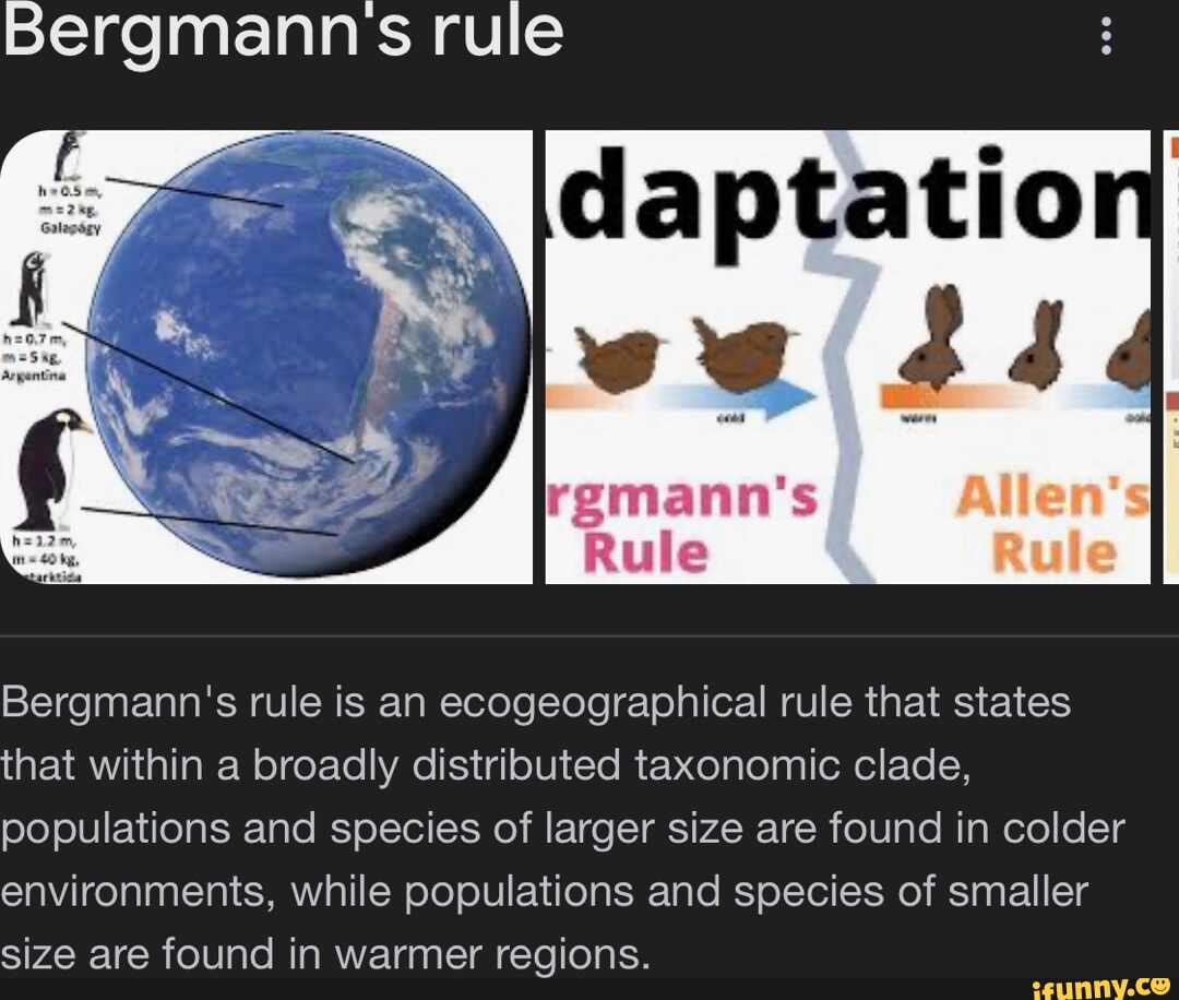 Bergmanns rule daptatio we rgmann's Rule Bergmann's rule is an ...