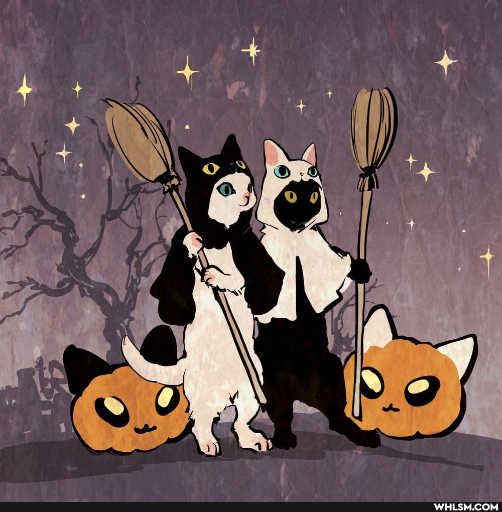 art, cats, halloween