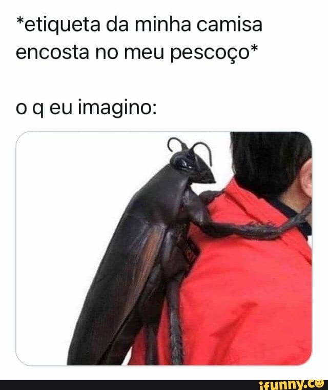 *etiqueta da minha camisa encosta no meu pescoço*
o q eu imagino:
