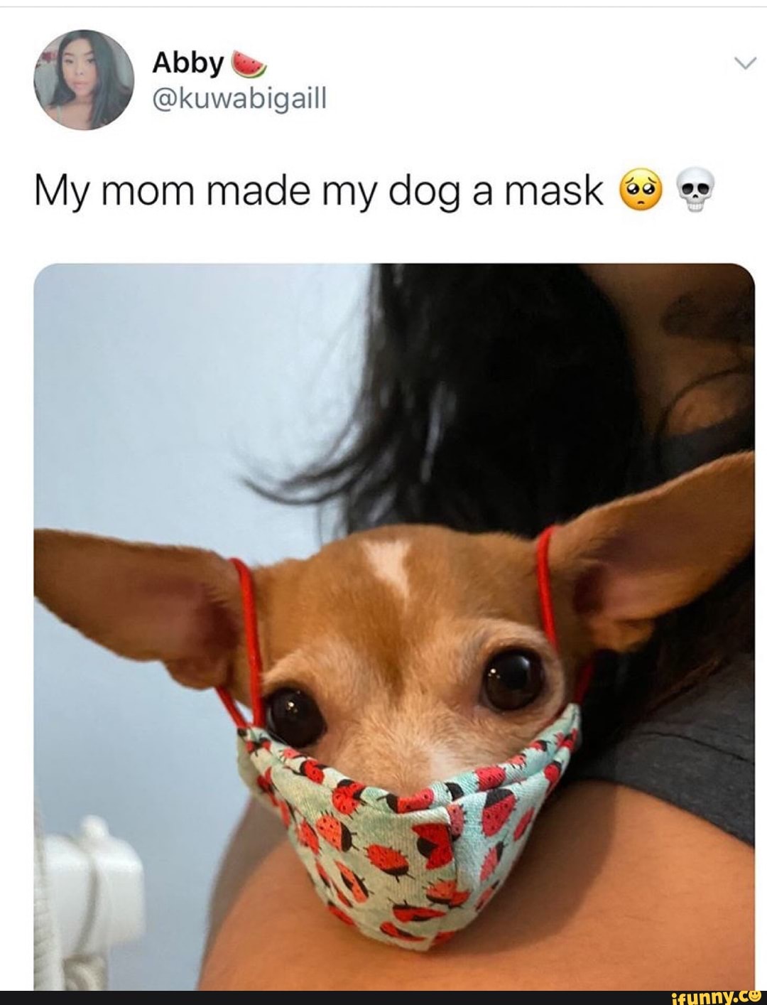 My mom made my dog a mask @9 e"