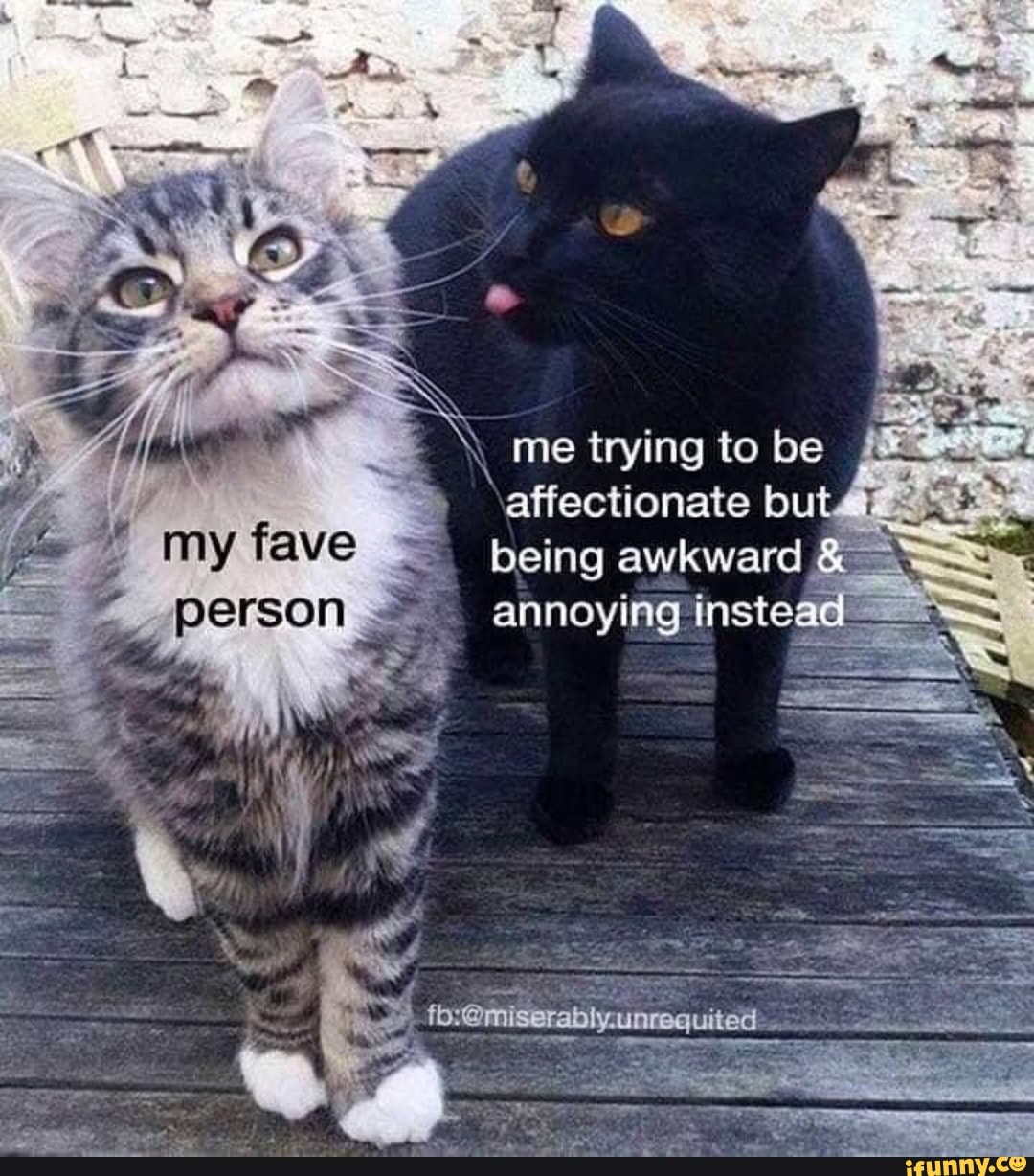 q me trying to be
affectionate bu
being awkward
é
annoying inste