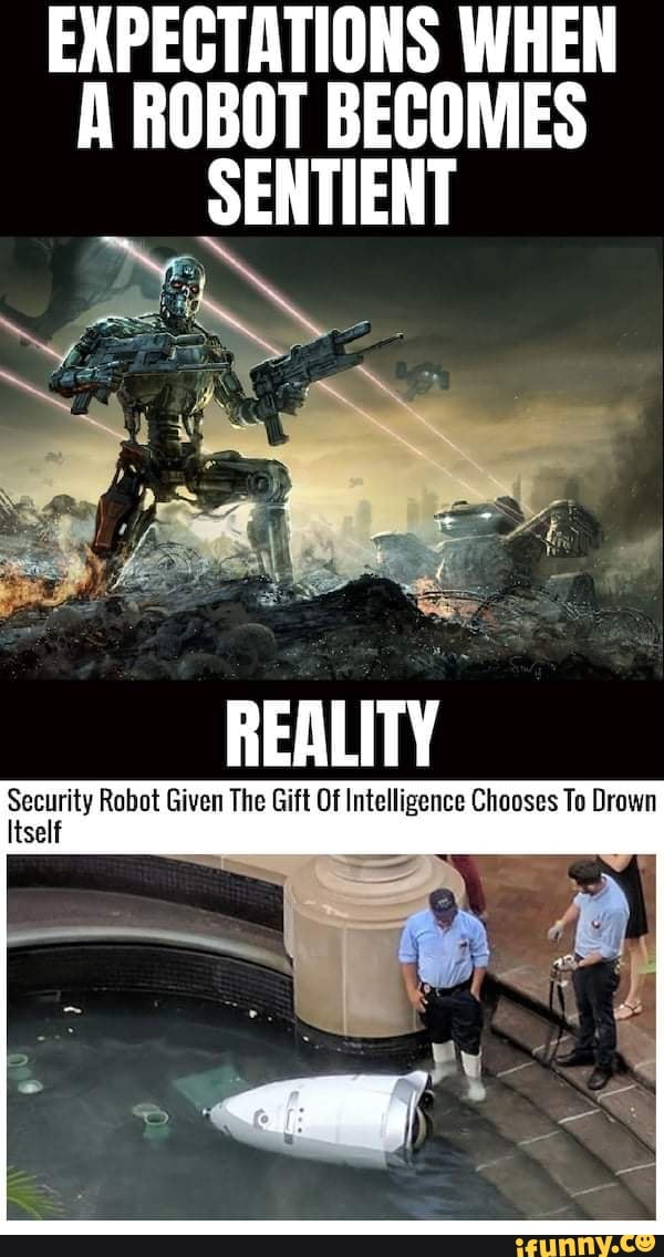 EXPECTATIONS WHEN A ROBOT SENTIENT REALITY Security Robot Given
