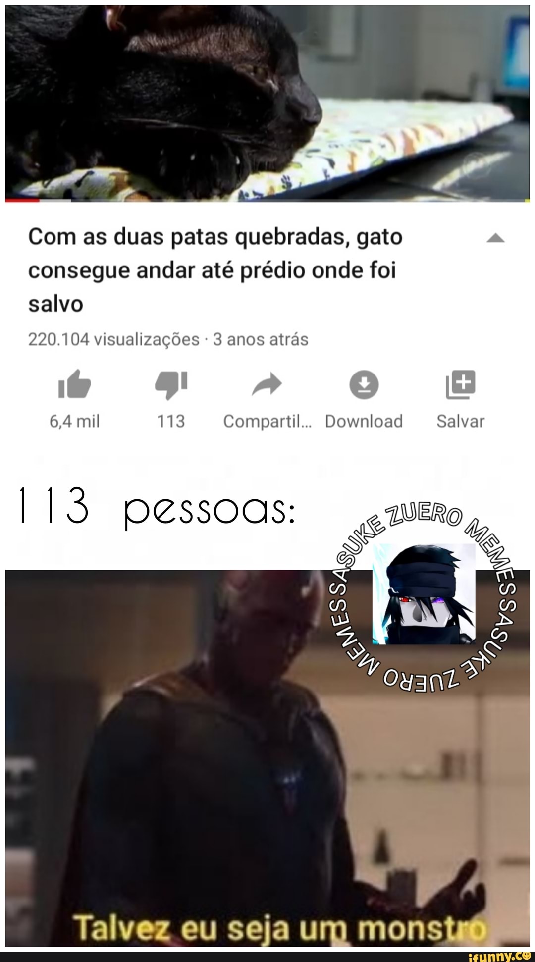 Com as duas patas quebradas, gato
consegue andar até prédio onde foi
salvo
220.104 visualizações 3 anos atrás
6,4 mil 113 Compartil... Download Salvar
[13 pessoas: