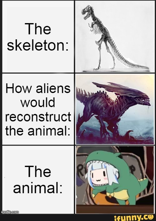 The skeleton: How aliens would reconstruct the animal: II' The animal ...