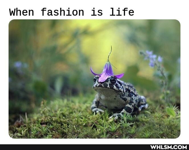 when fashion is life
