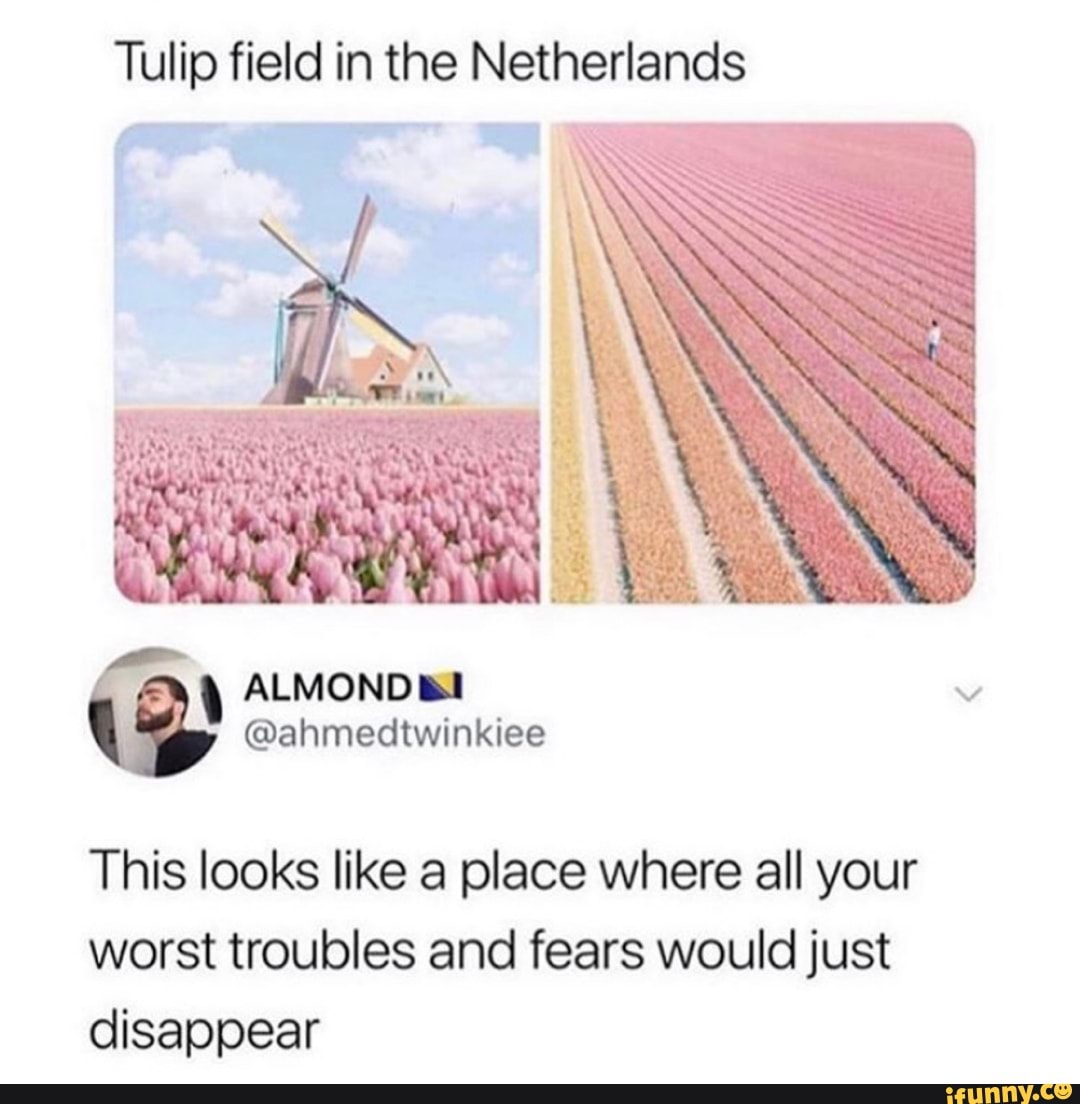 Tulip field in the Netherlands
ALMONDBI
@ahmedtwinkiee
This looks like a place where all your worst troubles and fears would just disappear