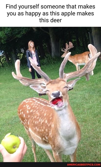 Find yourself someone that makes you as happy as this apple makes this deer