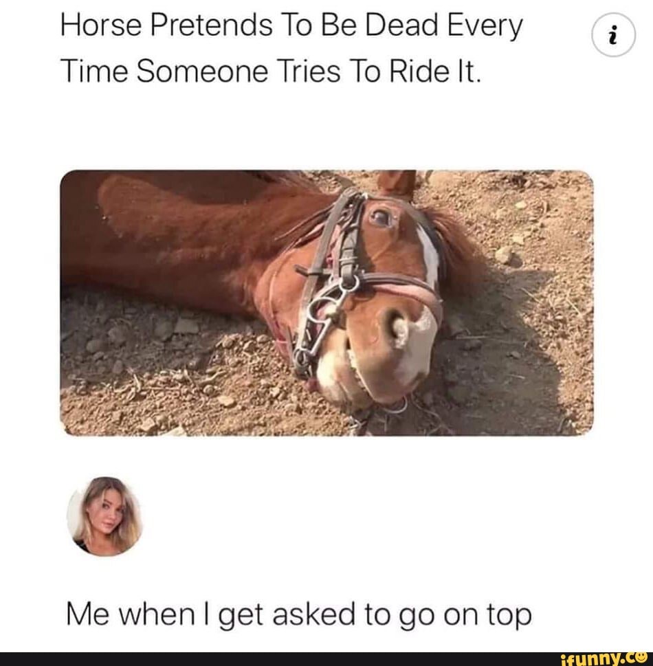 Horse Pretends To Be Dead Every Time Someone Tries To Ride It. Me when I! I  get asked to go on top - iFunny