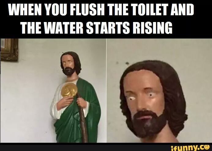 WHEN YOU FLUSH THE TOILET AND THE WATER STARTS RISING I - iFunny