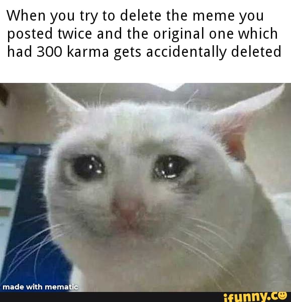 When you try to delete the meme you posted twice and the original one which
had 300 karma gets accidentally deleted